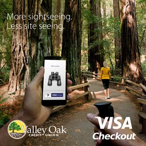More sightseeing. Less site seeing. Valley Oak Credit Union. VISA Checkout